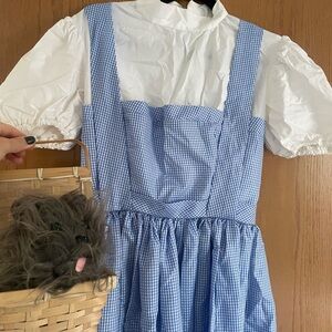 Handmade Dorothy Costume…w/ Toto!